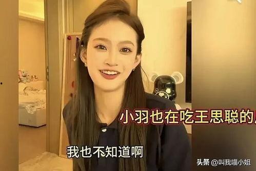 荷兰名媛吃瓜视频在线看,揭秘豪门生活的真实一面