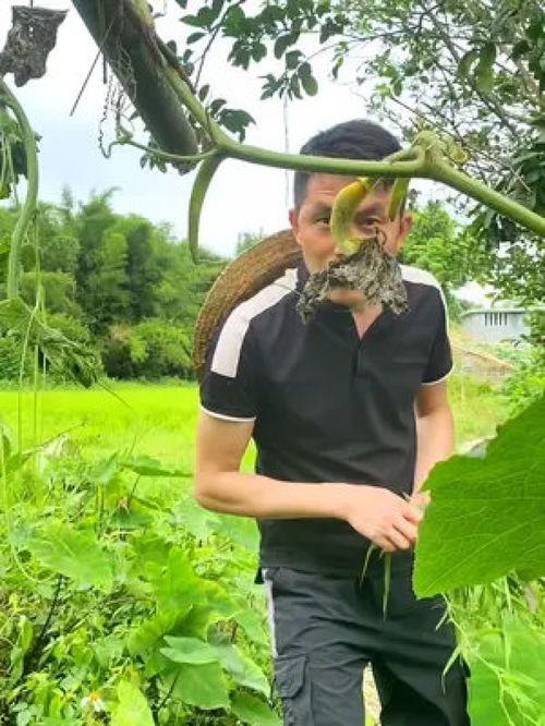 农村虎丫吃瓜视频大全,趣味盎然的乡村生活瞬间