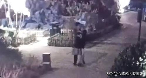 常州吃瓜事件视频回放,一场网络热议的真相揭秘