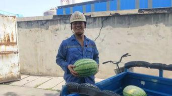 吃瓜群众摔倒护栏视频真实,视频记录全过程