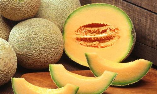 给日本人吃哈密瓜视频,哈密瓜美食之旅