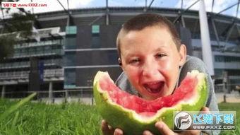 小男孩吃瓜视频,小男孩的欢乐吃瓜时光