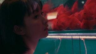 女孩和吃瓜人视频大全,趣味视频大盘点