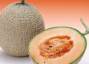 警察吃哈密瓜视频大全,温馨画面引网友热议