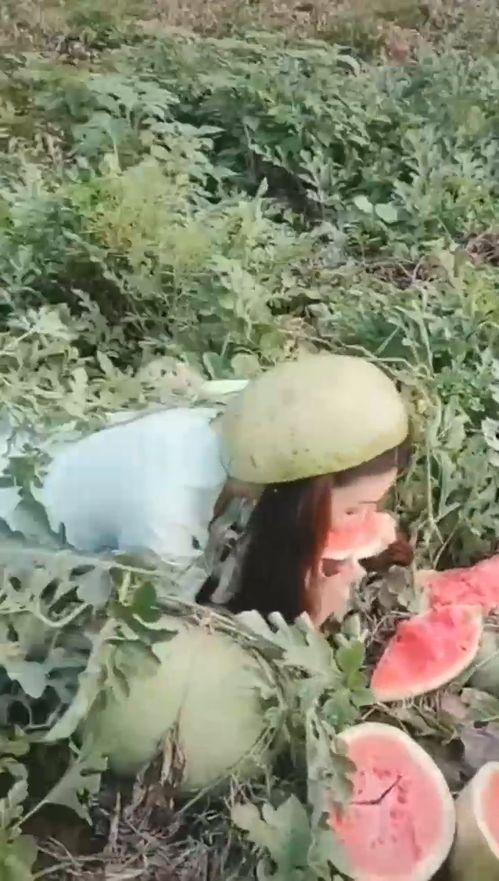 二个小姐搞笑视频吃瓜,吃瓜群众笑翻天，欢乐无限