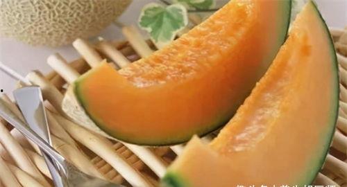 幼猫吃哈密瓜吗会死吗视频