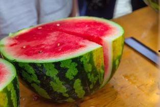 南方大学吃瓜视频,揭秘校园生活趣味瞬间