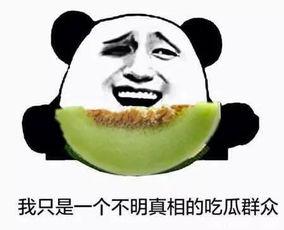 吃瓜群众游戏爆梗视频,笑料横飞，欢乐无限